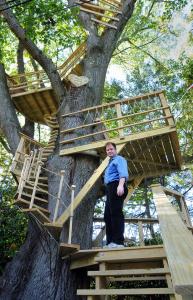 treehouse treehouse